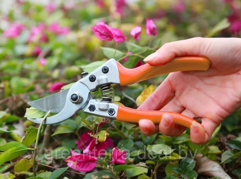 Gersher Gardhi KT-V1023 thumbnail 2